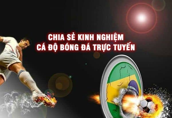 kinh nghiem ca cuoc 67a3cf3b2e8a6