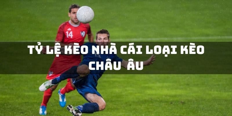 ty le keo chau au 67a3d8d0b8544