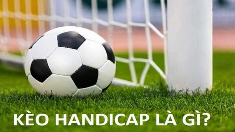 ty le keo handicap 67a3dbecdbe13